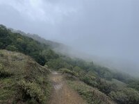 2987E49D-881A-465B-91D3-1EE8FDEC2296.jpeg