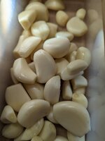 PXL_20230130_153838185.jpg