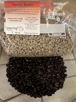 IMG_8220.jpeg