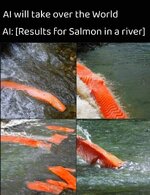 FB_IMG_1720842160585.jpg