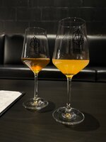 IMG_0035.jpeg
