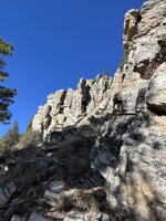 IMG_8579.jpeg