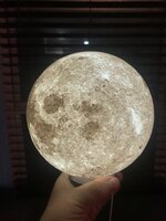 IMG_1315.jpeg