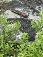 IMG_0973.webp IMG_0973.webp