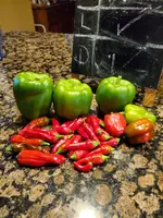 20250730_200857.webp