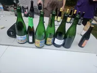 1000086181.webp