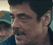 MAMAMIABEER.gif MAMAMIABEER.gif