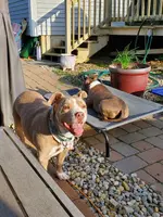 20260403_175020.webp