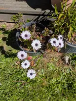 1000010126.webp
