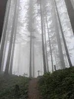 1000015234.webp