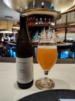 1000048758.webp