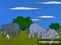 IMG_3805.gif