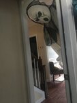 B4EF6299-8ABD-42AC-A4DC-23CF9E9B8D4A.jpeg