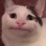 5275